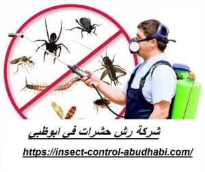[صورة: شركة-رش-حشرات-في-ابوظبي-300x252.jpg]